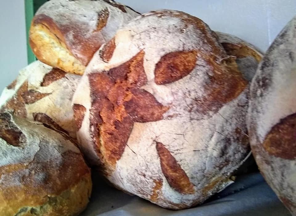 The Bear Bread Bakery B&B, Ensuite Rooms Above The Bakery, Colyton Bagian luar foto